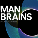 Fondazione Prada Human Brains