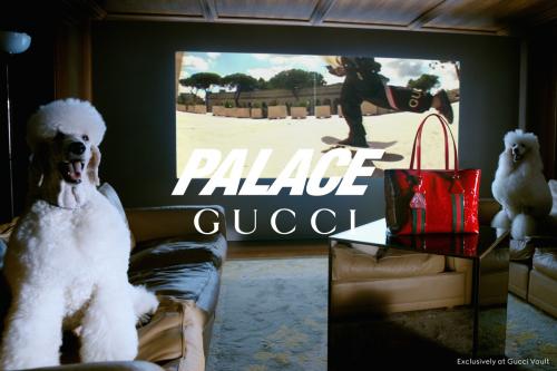 Palace Gucci